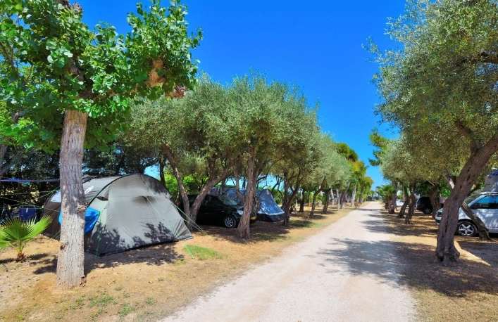 Camping & Bungalows Estanyet - zdjęcie 1