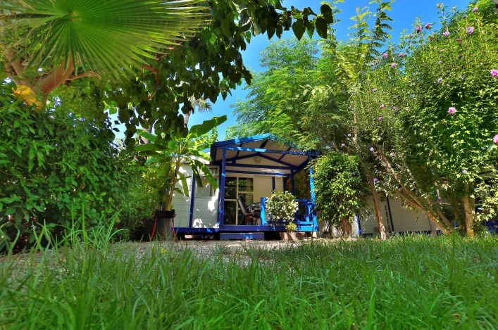 Galeria zdjęć - zdjęcie 13