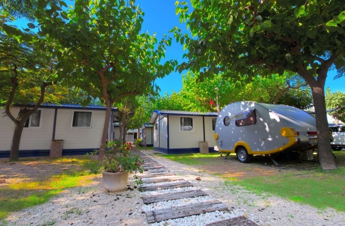 Galeria zdjęć - zdjęcie 6