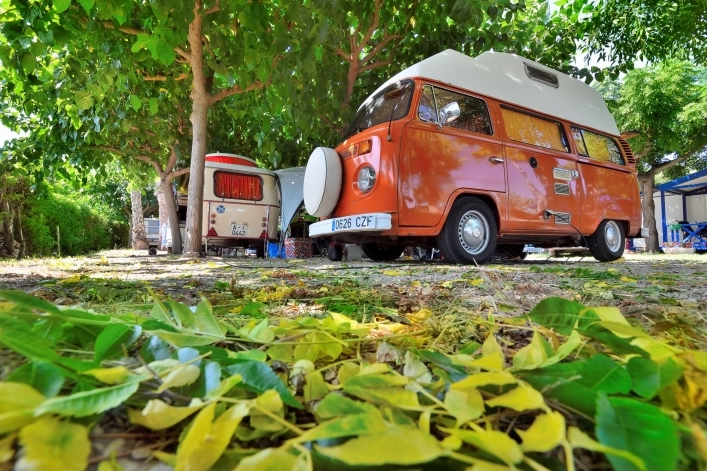 Galeria zdjęć - zdjęcie 14