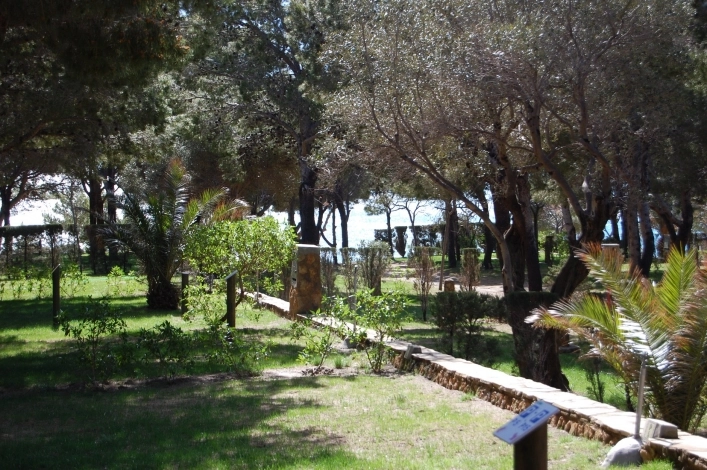 zobacz camping - zdjęcie 9