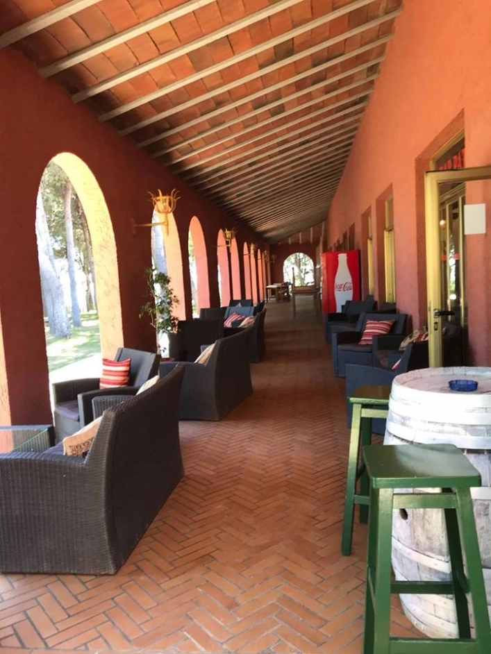 zobacz camping - zdjęcie 7