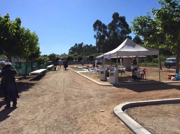 zobacz camping - zdjęcie 3