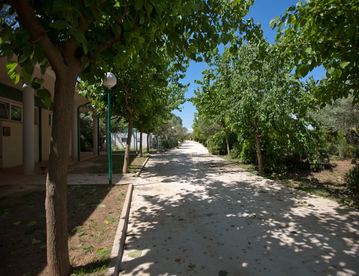 zobacz camping - zdjęcie 7