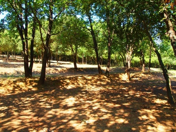 zobacz camping - zdjęcie 22