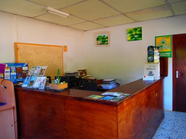 zobacz camping - zdjęcie 20