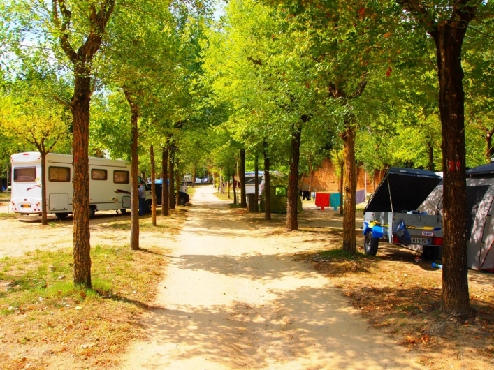 zobacz camping - zdjęcie 14
