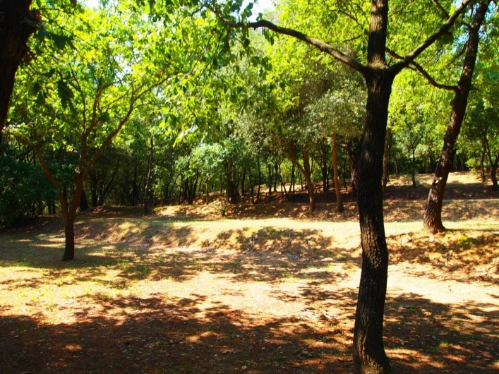 zobacz camping - zdjęcie 13