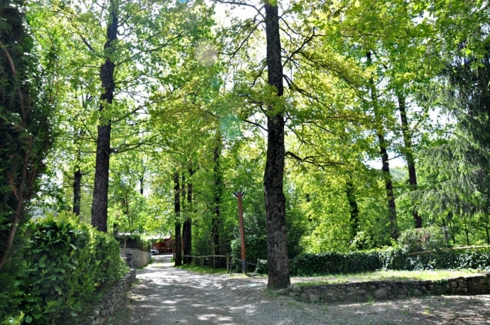 zobacz camping - zdjęcie 39