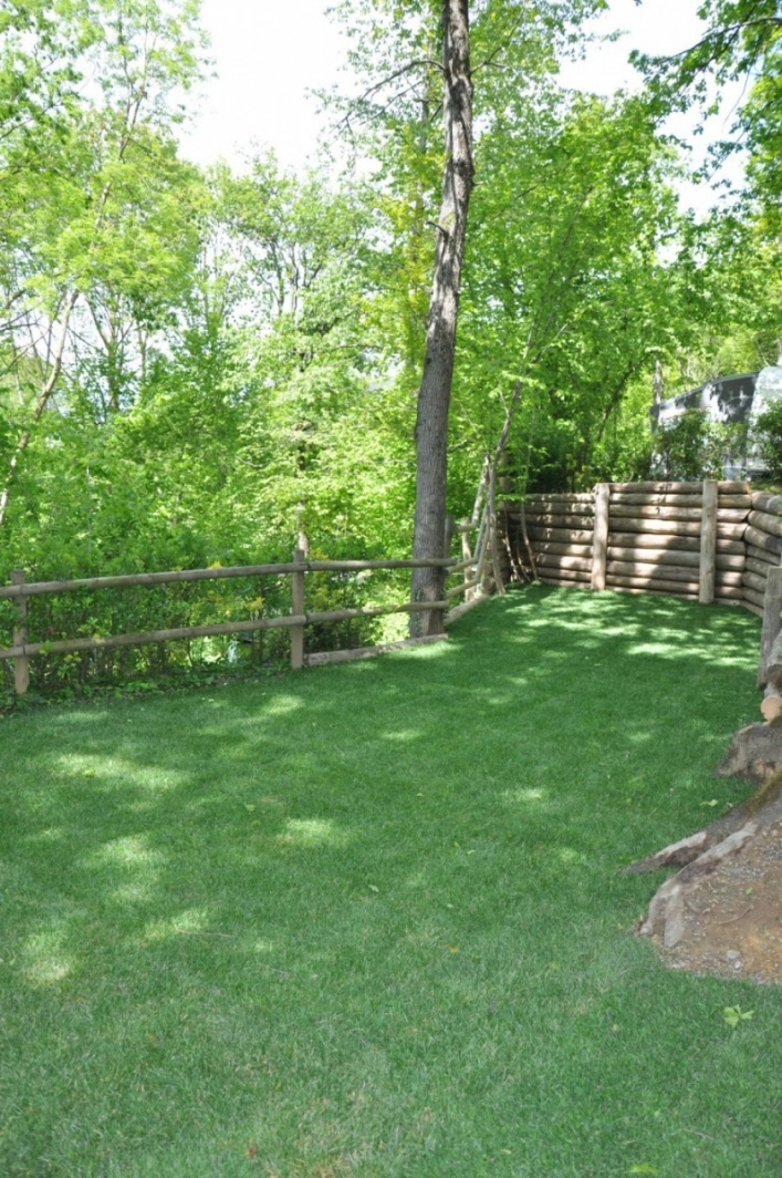 zobacz camping - zdjęcie 21