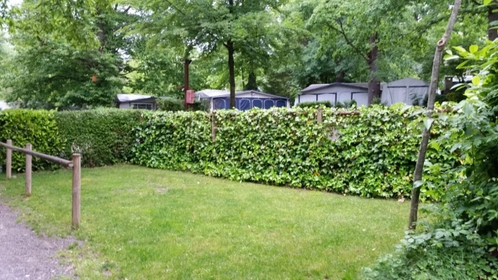 zobacz camping - zdjęcie 16