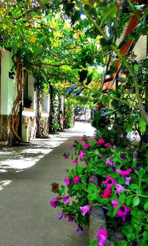 zobacz camping - zdjęcie 17