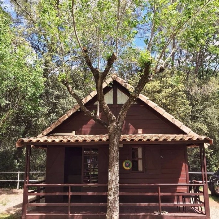 zobacz camping - zdjęcie 6