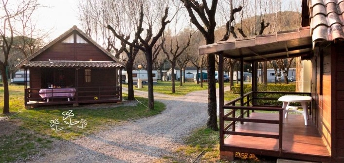 zobacz camping - zdjęcie 2