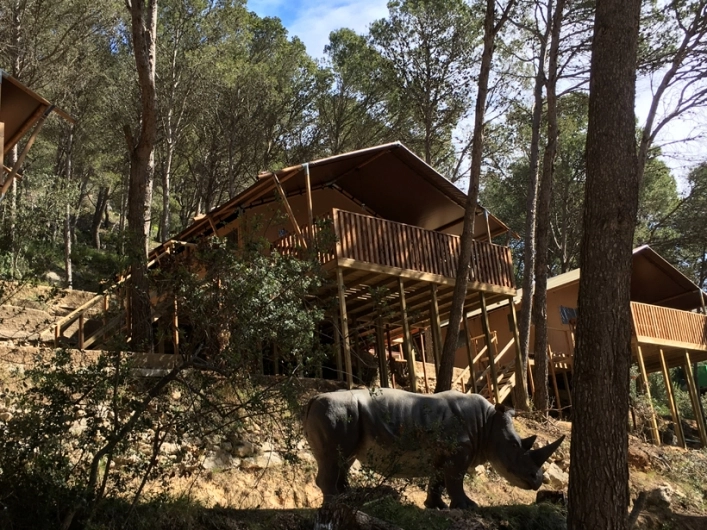 zobacz camping - zdjęcie 4