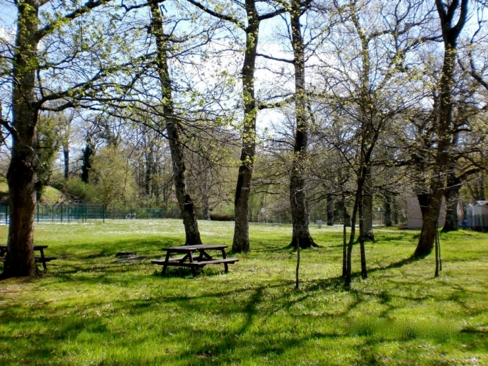 zobacz camping - zdjęcie 6