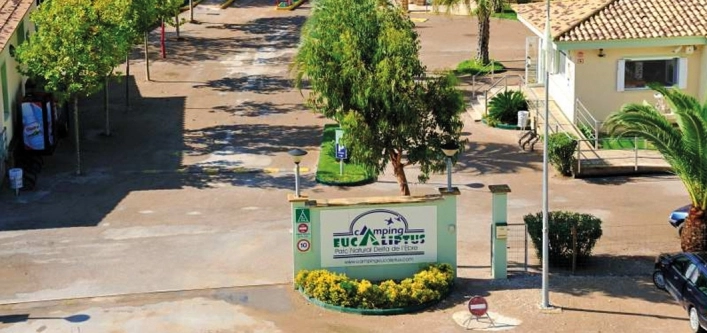 zobacz camping - zdjęcie 21