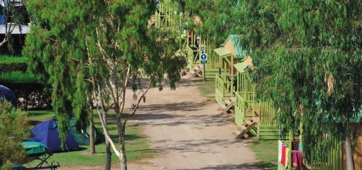 zobacz camping - zdjęcie 16