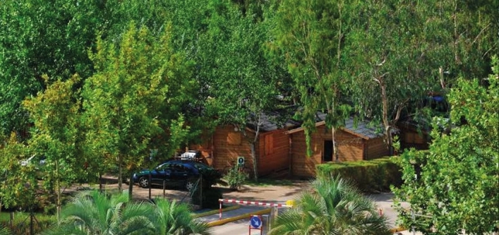 zobacz camping - zdjęcie 9