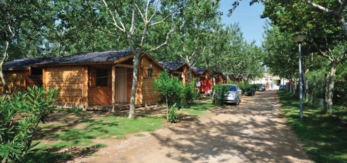 zobacz camping - zdjęcie 1