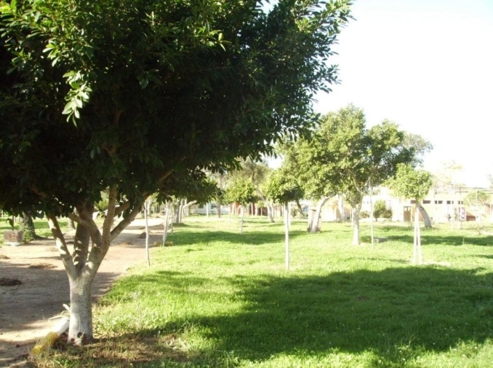 zobacz camping - zdjęcie 17