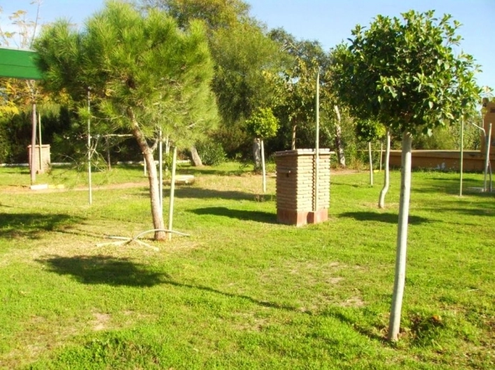 zobacz camping - zdjęcie 14