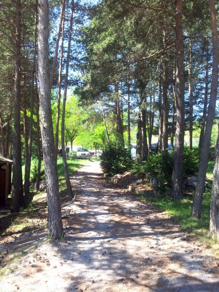 zobacz camping - zdjęcie 11