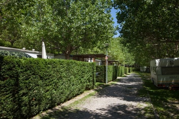 zobacz camping - zdjęcie 9