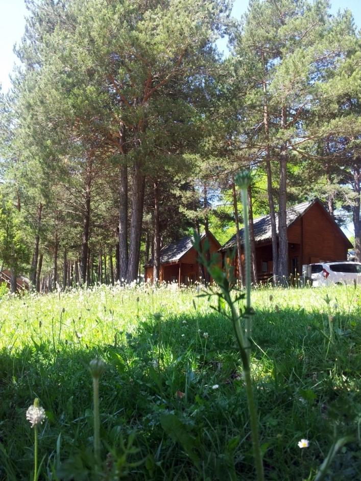 zobacz camping - zdjęcie 7