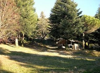 zobacz camping - zdjęcie 15