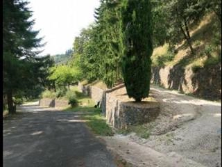 zobacz camping - zdjęcie 14