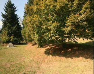 zobacz camping - zdjęcie 8