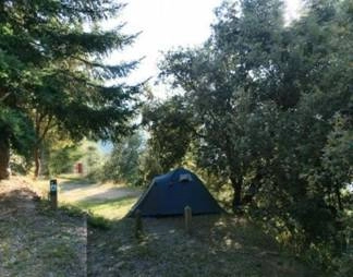 zobacz camping - zdjęcie 6