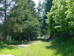 zobacz camping - zdjęcie 5