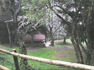 zobacz camping - zdjęcie 1