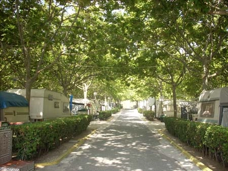 zobacz camping - zdjęcie 10