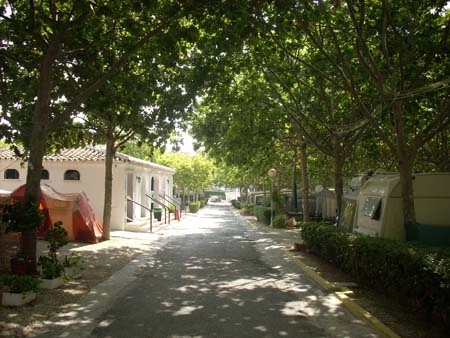 zobacz camping - zdjęcie 9