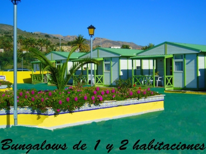 zobacz camping - zdjęcie 12