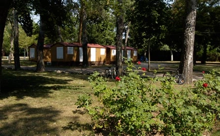 zobacz camping - zdjęcie 10