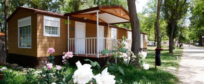 zobacz camping - zdjęcie 8