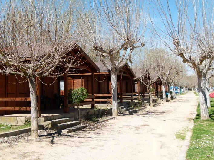 zobacz camping - zdjęcie 7