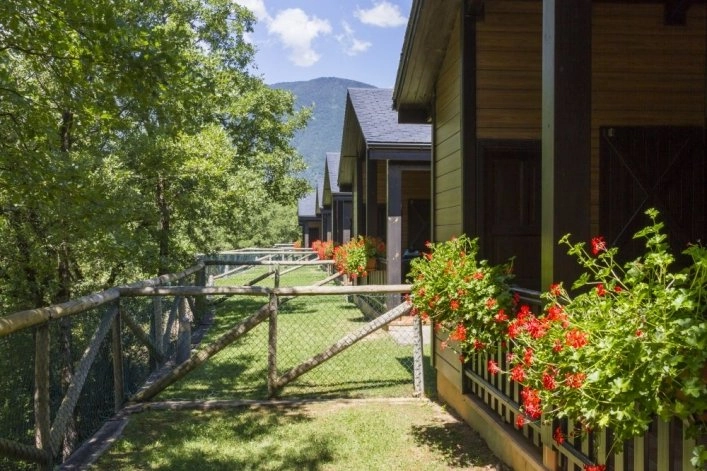 zobacz camping - zdjęcie 12