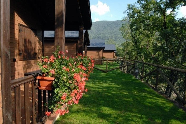 Camping Gavín S.L. 1ª  categoria - zdjęcie 1