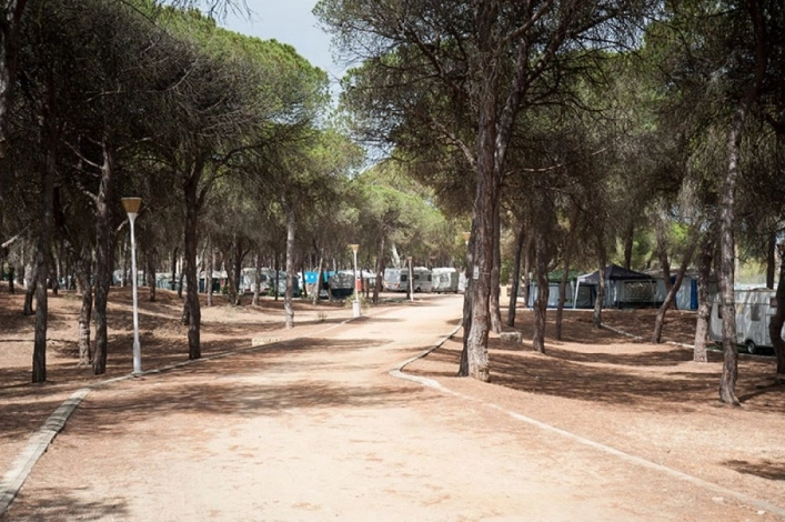 zobacz camping - zdjęcie 16