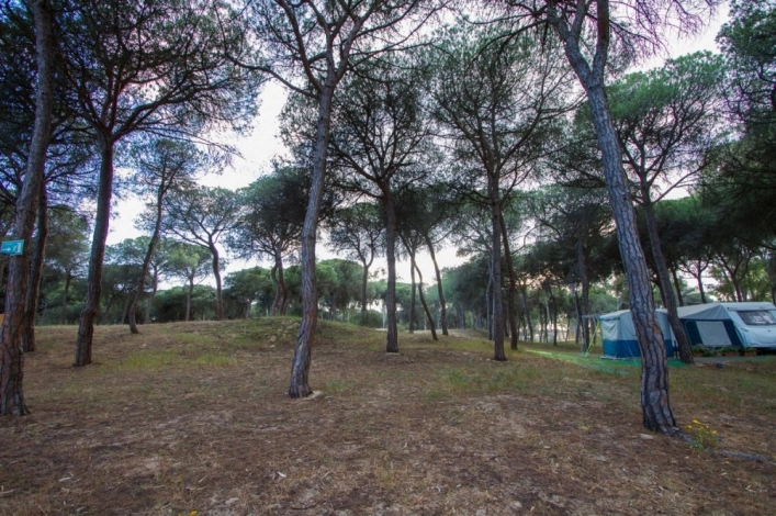 zobacz camping - zdjęcie 11