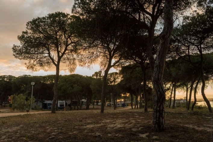 zobacz camping - zdjęcie 9