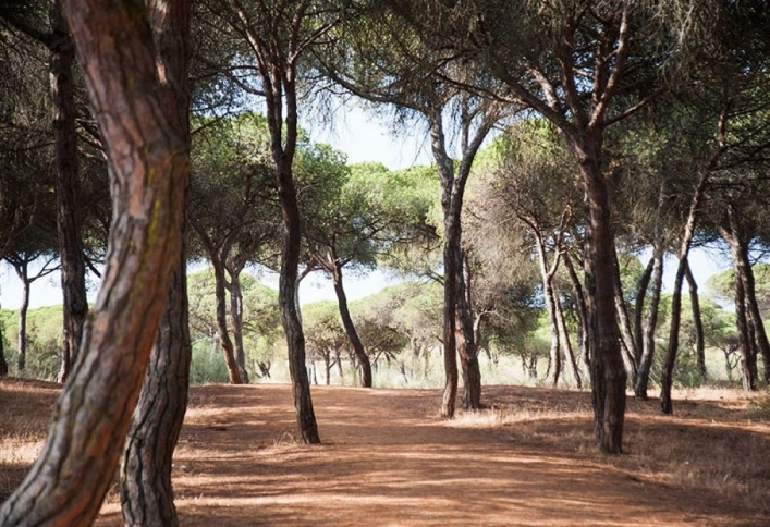 zobacz camping - zdjęcie 6