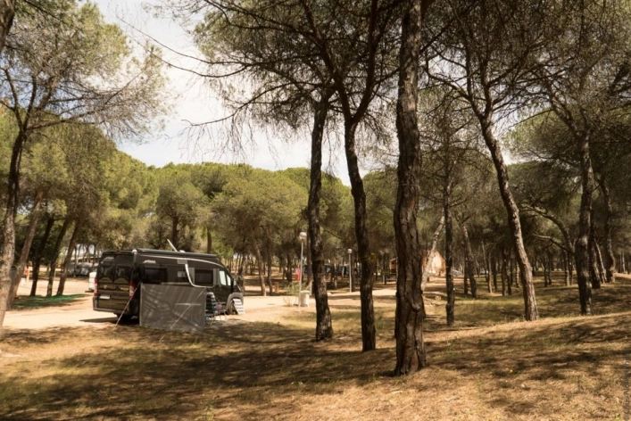 zobacz camping - zdjęcie 5