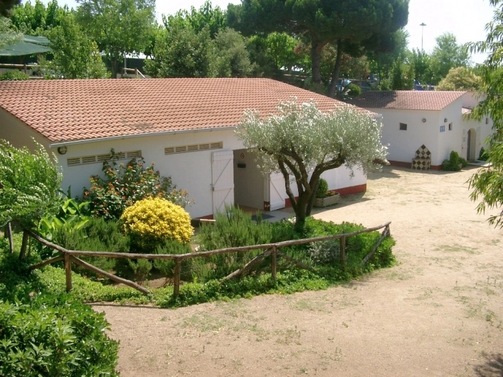 zobacz camping - zdjęcie 21