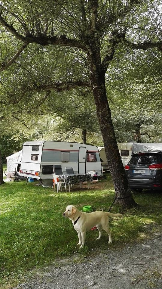 Camping Hotel Viu - zdjęcie 2